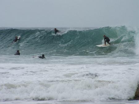 snapper rocks
