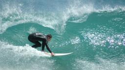 houghton bay wellington