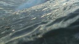 Santa Cruz Surf