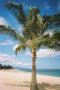 sunset beach... paradise