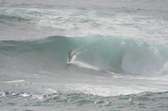 Cronulla