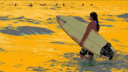 Cocoa Beach SP#0888A