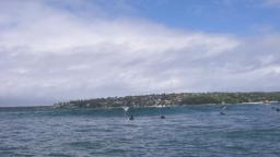port hacking