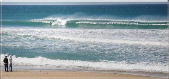 el palmar