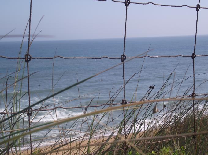 Fence Surfer