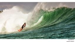 Craig Anderson