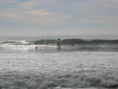 s.b. cal