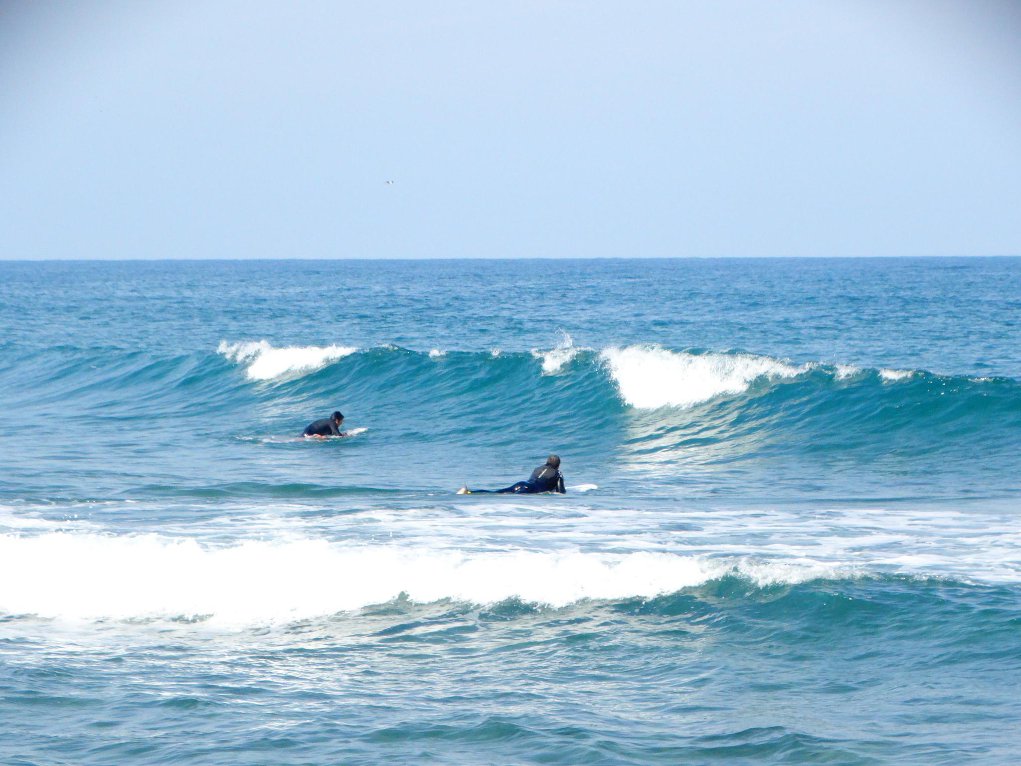 DANUBE SURF COMMUNİTY