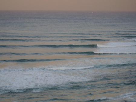 shellys portmacqurie nsw