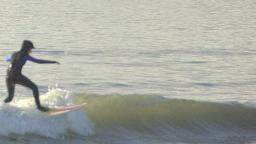 Cornishsurfer 