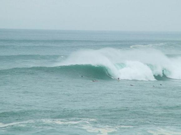 Waimea