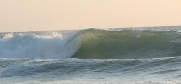 The Gulf Coast