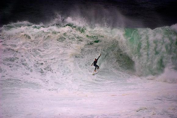 Heavy Fairy Bower > Manly