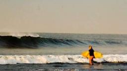 Waves