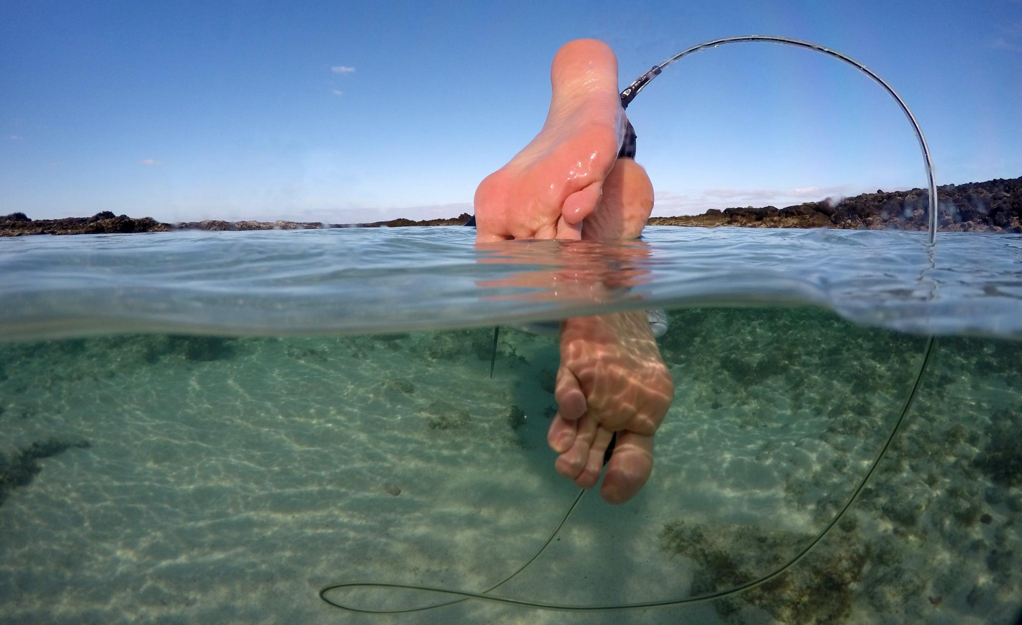 Paddle