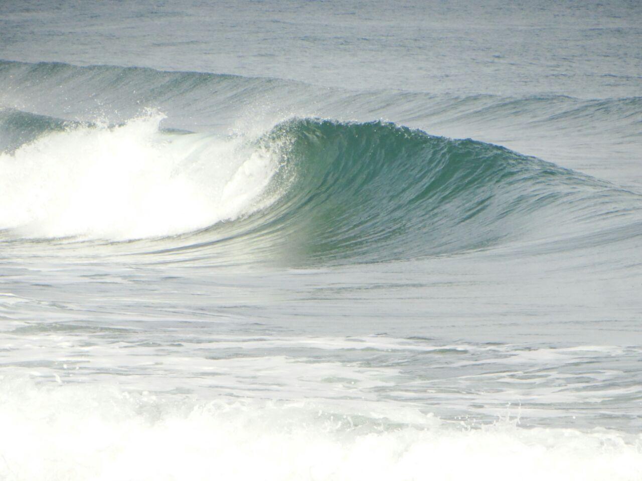 DANUBE SURF COMMUNİTY