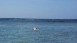waikiki