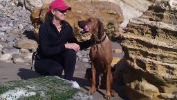 Roxy at Hazards_1