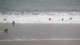 Waves la Cicer
