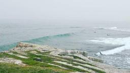 DANUBE SURF COMMUNİTY