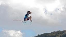 Dane Reynolds Flying High