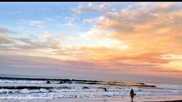 surf