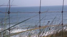 Fence Surfer