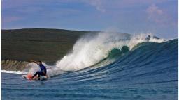 William Cardoso Defends Pantin Title