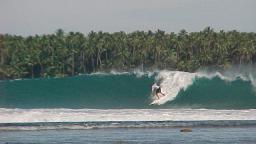 Nias 2001