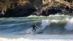 13 Feet of Fury at Taylors