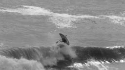 Mewslade Bay Gower