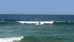 Jersey Shore Fun