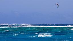 kite Surf at ew Call