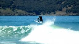 Surfer 