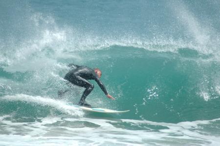 houghton bay wellington