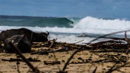 Aura Surf Resort 