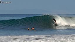 In the Curl
