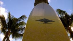9' Diamond head Longboard