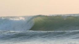 The Gulf Coast