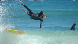 houghton bay wellington