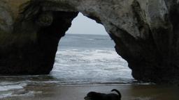 Darla at Steamers Sea Arch
