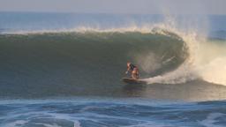 Surfer Natural's