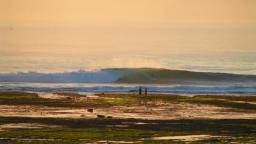 indo