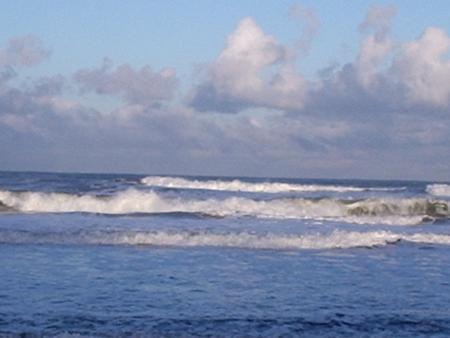 Pease Bay 28/12/05