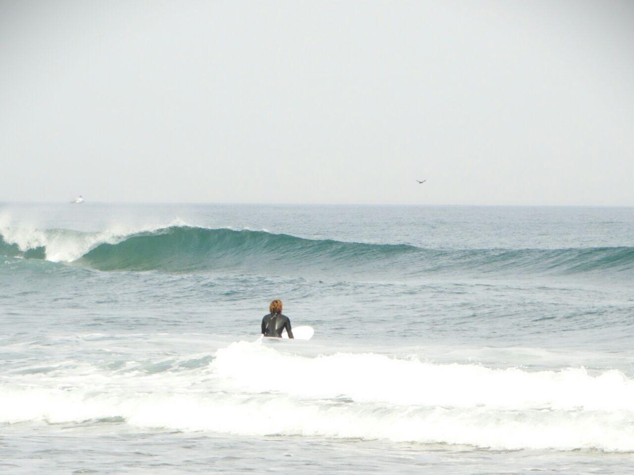 DANUBE SURF COMMUNİTY
