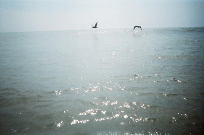 Small Cold Water Day