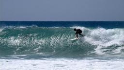 Homegrown surfschool