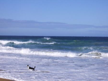 Great Ocean Rd, VIC, Australia