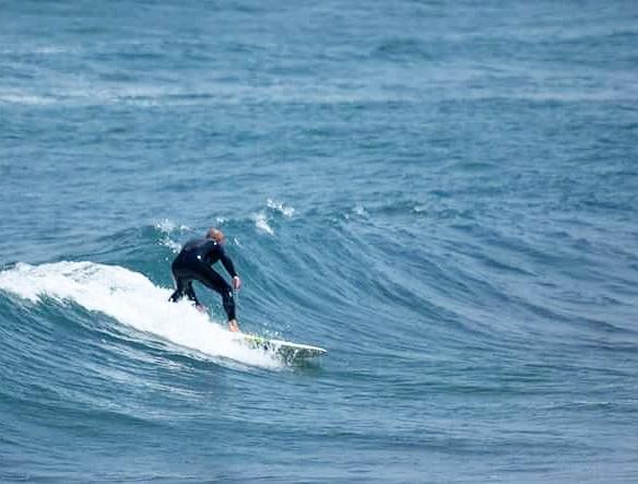 DANUBE SURF COMMUNİTY