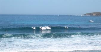 Rottnest